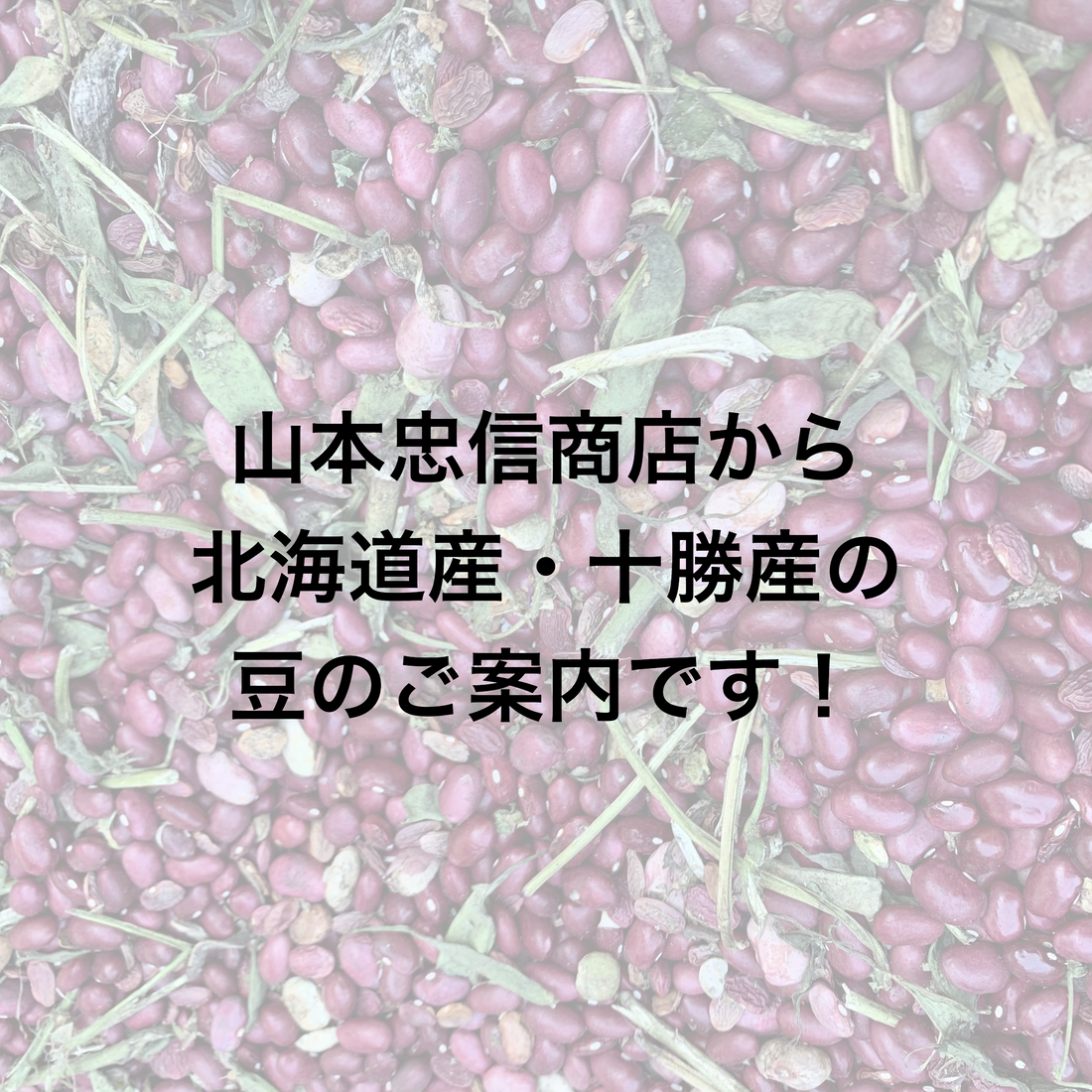 山本忠信商店から北海道産・十勝産の豆のご案内です!