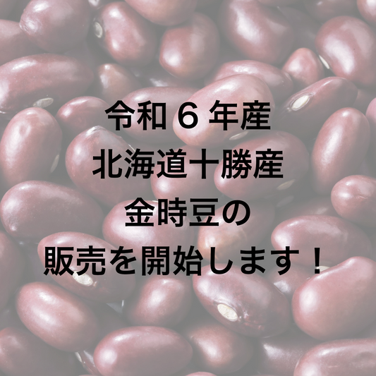 令和6年産大正金時の販売を開始します!
