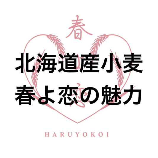 北海道産小麦粉「春よ恋」の魅力について