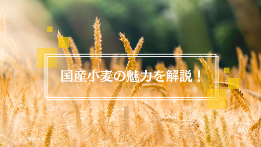国産小麦の魅力を解説！ 輸入小麦と何が違う？ 国産ならではのメリットは？
