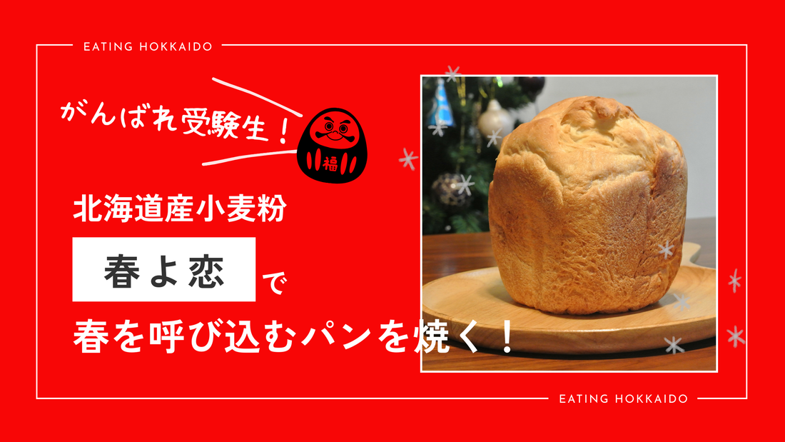 【受験生応援】北海道産小麦粉「春よ恋」で春を呼び込むパンを焼く！ 受験生母のゲン担ぎ