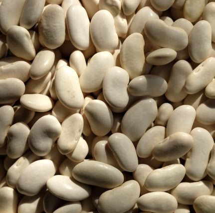 令和7年産 北海道産大福豆 500g