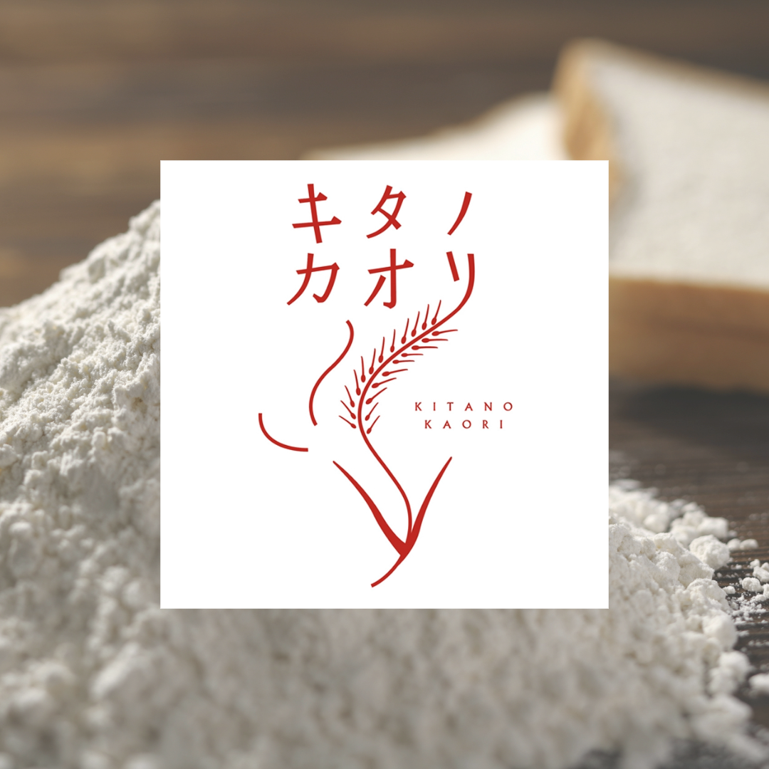 北海道産小麦粉 キタノカオリ