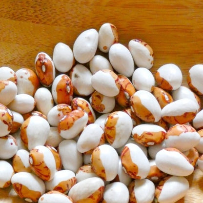 令和7年産 北海道産とら豆 500g