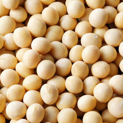北海道産 白目大豆 30kg【業務用】