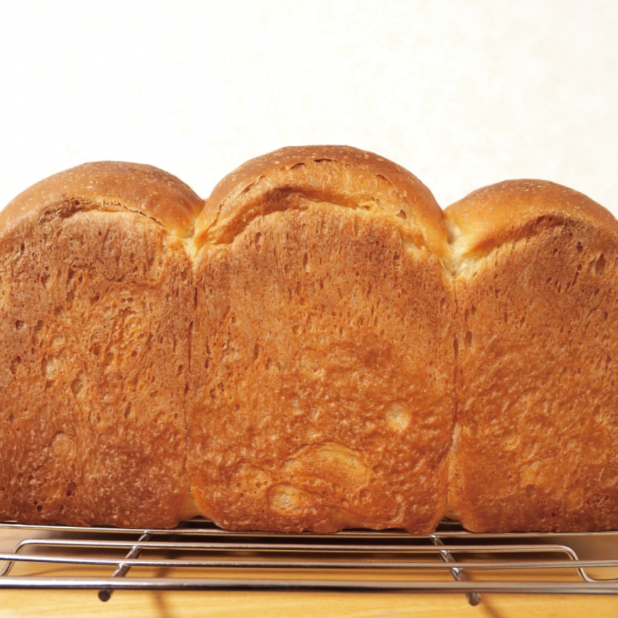 北海道産小麦粉 キタノカオリで作ったパン